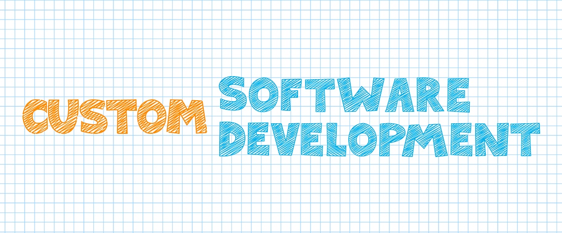 Custom Software Development: Our Process image